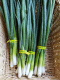 Cebolletas (cebolletas verdes)