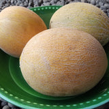 Melons, Sharlyn