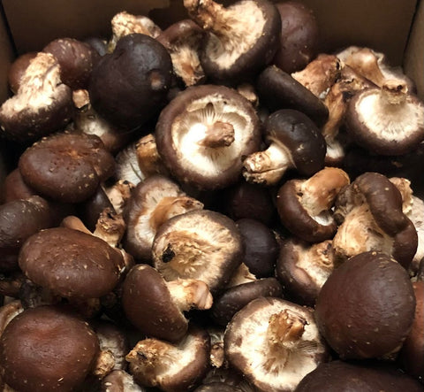 Mushrooms, Shiitake (CONSIGNMENT)