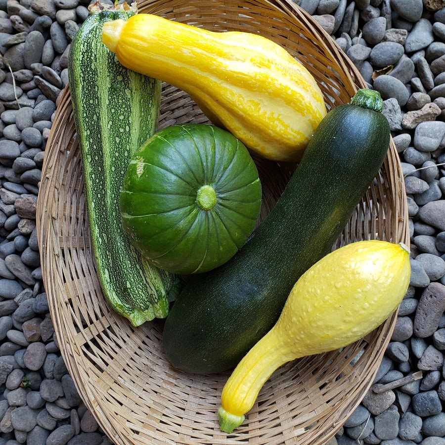 Summer Squash Medley