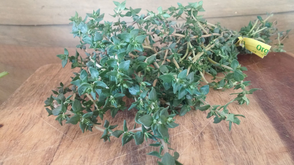 Herbs, Thyme*
