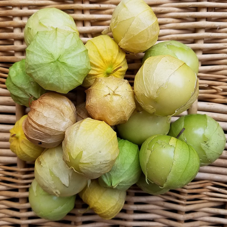 tomates